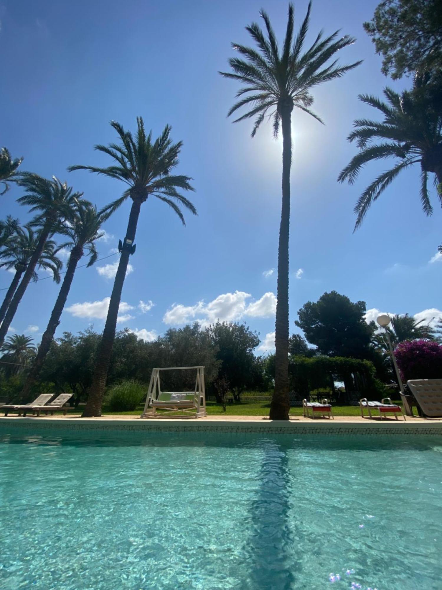 Pink Lemon House Bed and Breakfast Έλτσε Εξωτερικό φωτογραφία
