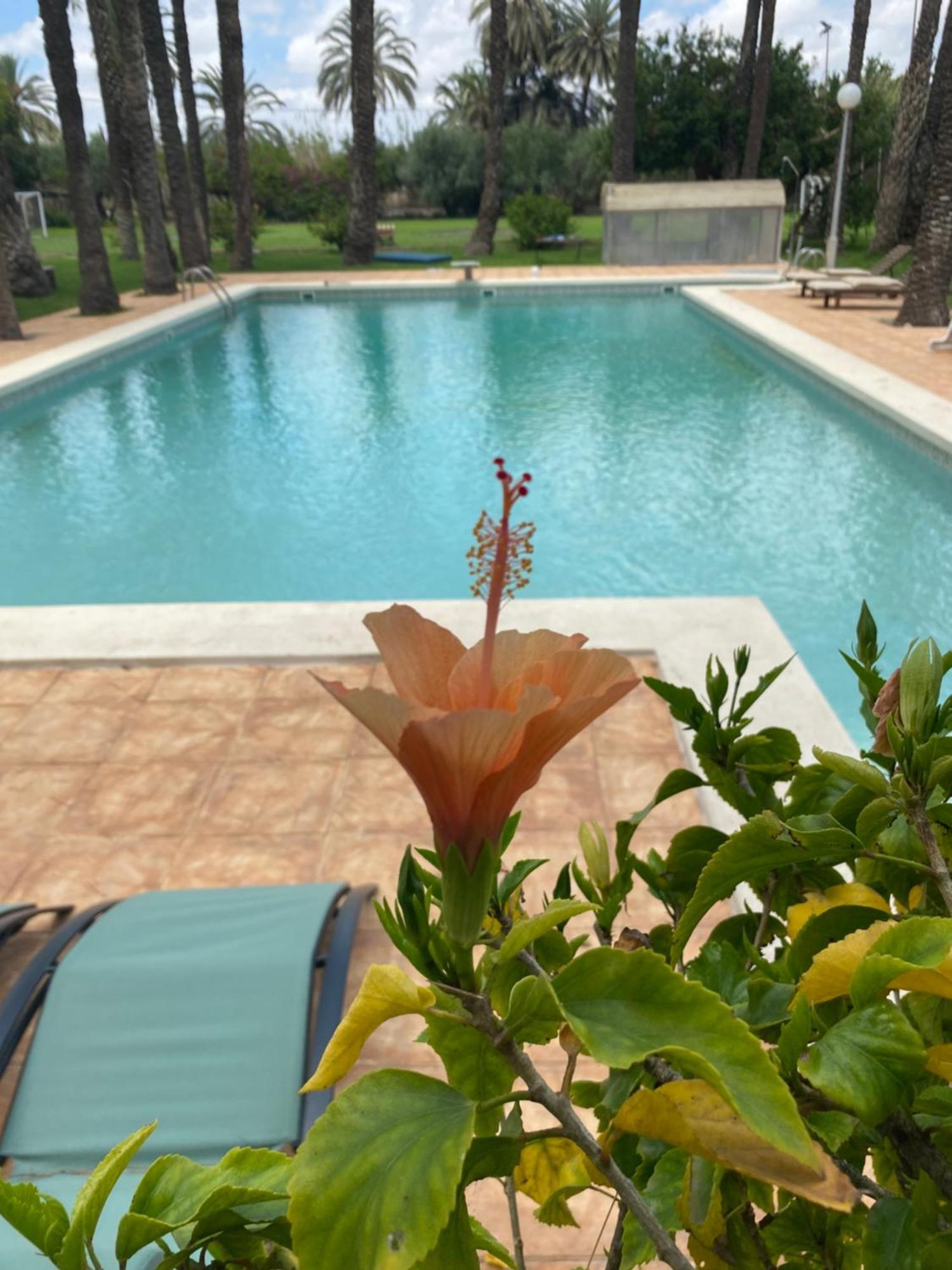 Pink Lemon House Bed and Breakfast Έλτσε Εξωτερικό φωτογραφία