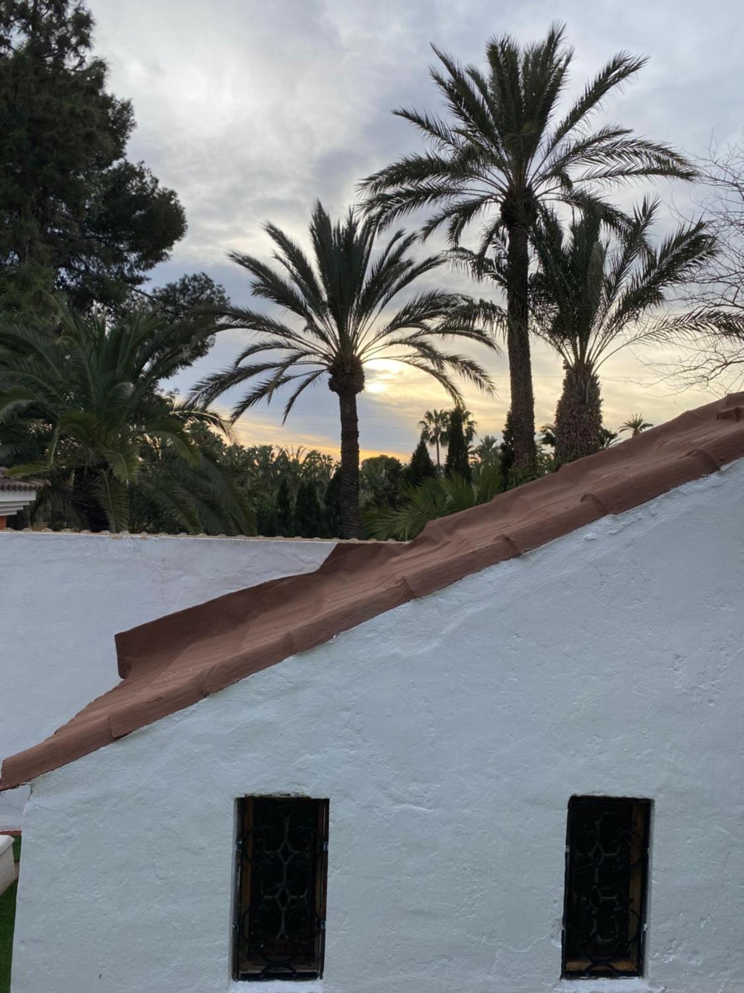 Pink Lemon House Bed and Breakfast Έλτσε Εξωτερικό φωτογραφία