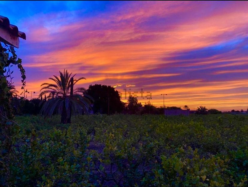Pink Lemon House Bed and Breakfast Έλτσε Εξωτερικό φωτογραφία