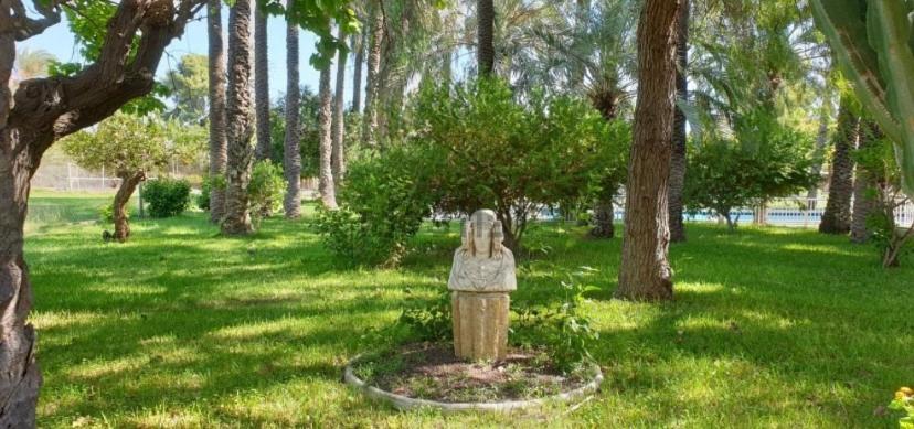 Pink Lemon House Bed and Breakfast Έλτσε Εξωτερικό φωτογραφία